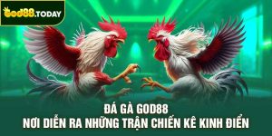 Đá Gà GOD88