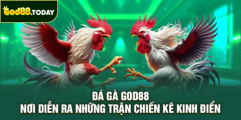 Đá Gà GOD88